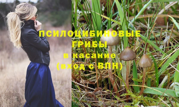 прущий лед Алзамай