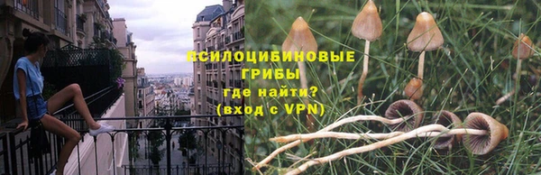 прущий лед Алзамай