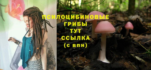 прущий лед Алзамай
