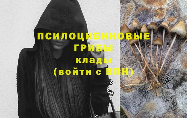 прущий лед Алзамай